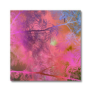 Albizia Tree A5 Canvas