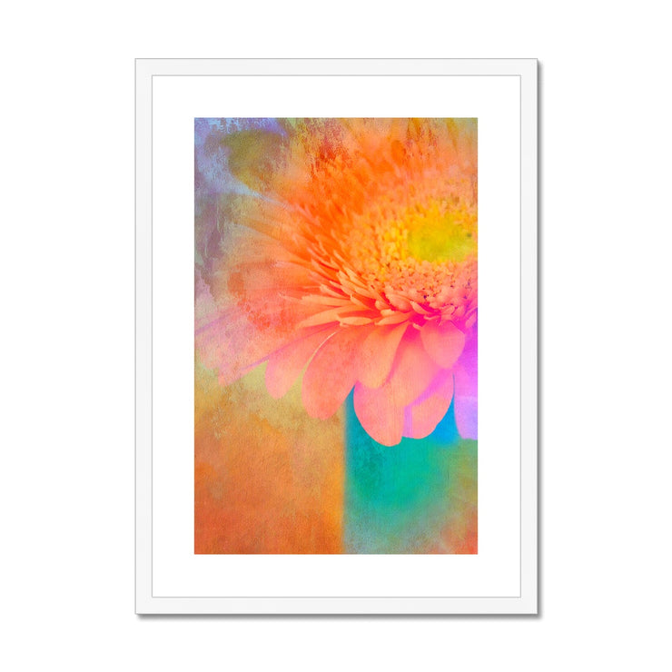 Gerbera B2 Framed & Mounted Print