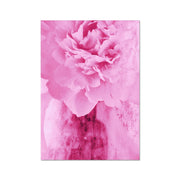 Peony G6 Hahnemühle Photo Rag Print