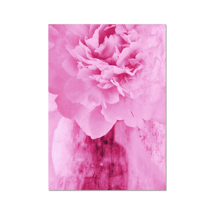 Peony G6 Hahnemühle Photo Rag Print