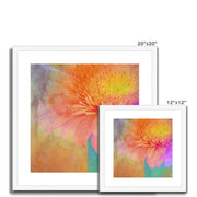 Gerbera B2 Framed & Mounted Print