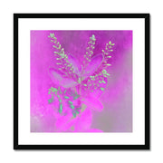 Lilac A2 Framed & Mounted Print