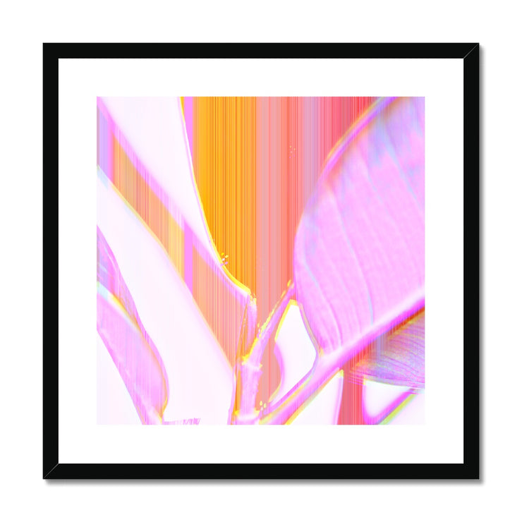 Rubber Tree A2 Framed & Mounted Print