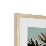 Palm Tree E1 Framed & Mounted Print