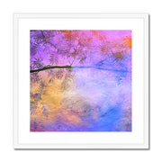 Albizia Tree B2 Framed & Mounted Print