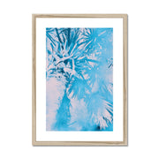 Palm Tree B7 Framed & Mounted Print