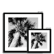 Palm Tree E2 Framed & Mounted Print