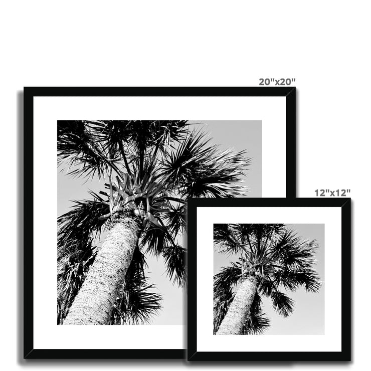 Palm Tree E2 Framed & Mounted Print