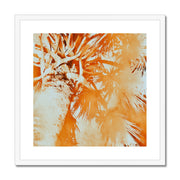 Palm Tree B1 Framed & Mounted Print