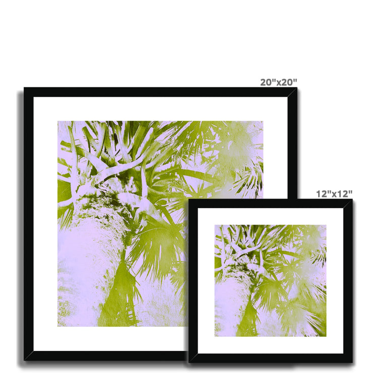 Palm Tree B2 Framed & Mounted Print