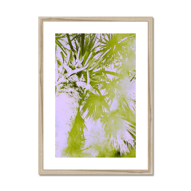 Palm Tree B2 Framed & Mounted Print