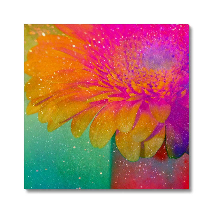 Gerbera B3 Canvas