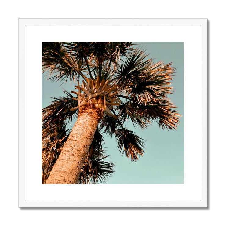 Palm Tree E1 Framed & Mounted Print