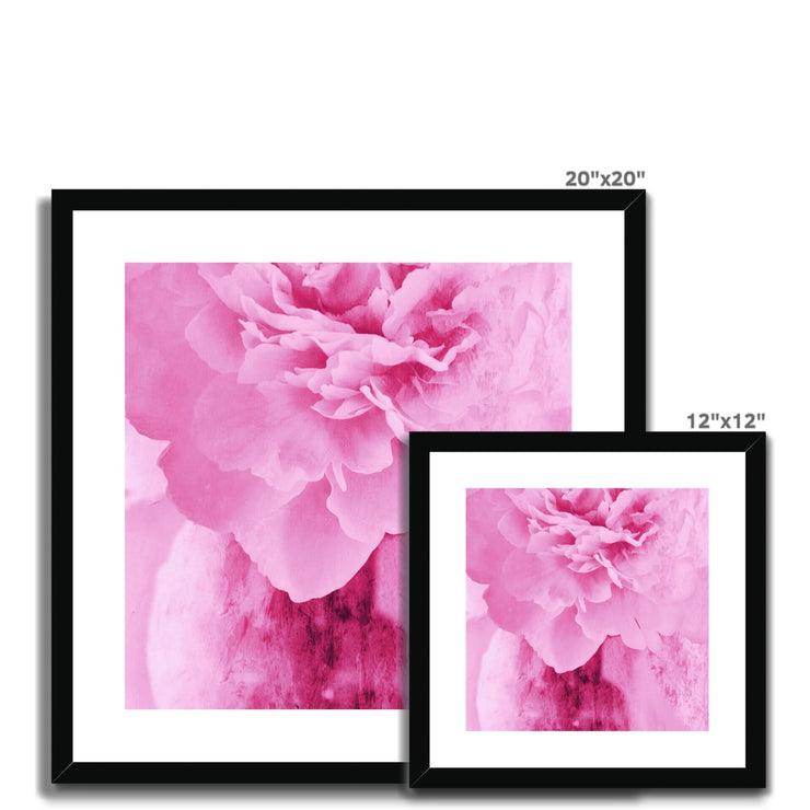 Peony G6 Framed & Mounted Print