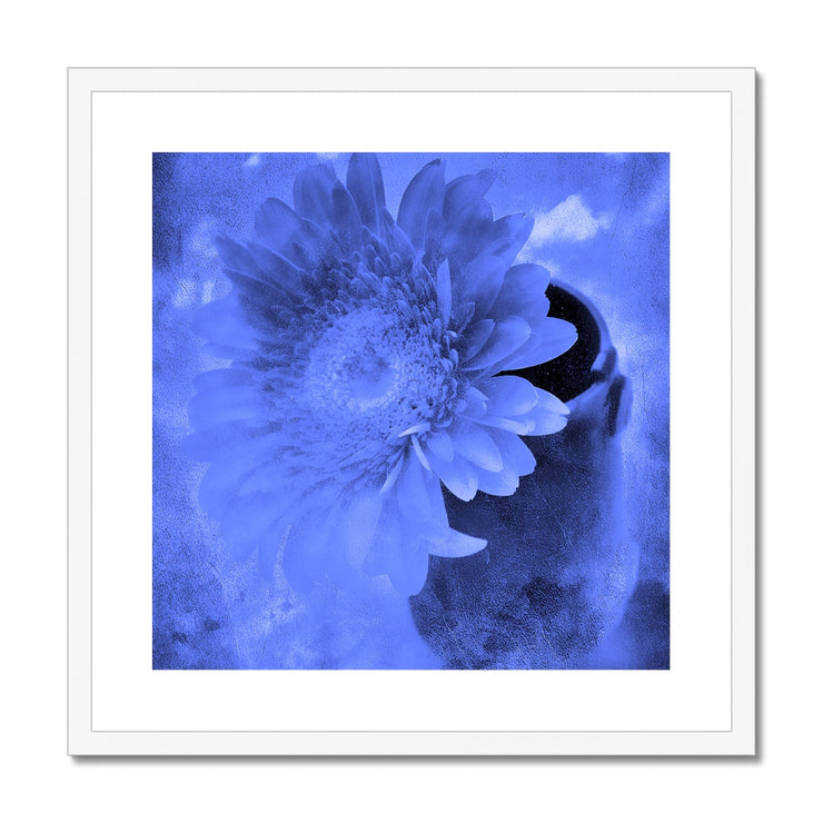 Gerbera A3 Framed & Mounted Print