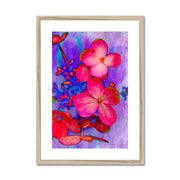 Hydrangea B1 Framed & Mounted Print