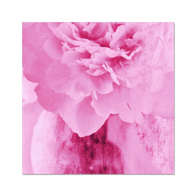 Peony G6 Hahnemühle Photo Rag Print