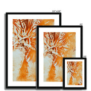 Palm Tree B1 Framed & Mounted Print