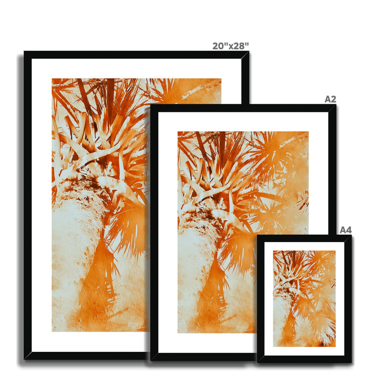 Palm Tree B1 Framed & Mounted Print