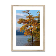 Loch Lomond B1 Framed & Mounted Print