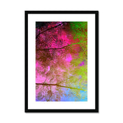 Albizia Tree A10 Framed & Mounted Print