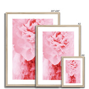 Peony G4 Framed & Mounted Print