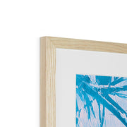 Palm Tree B7 Framed & Mounted Print