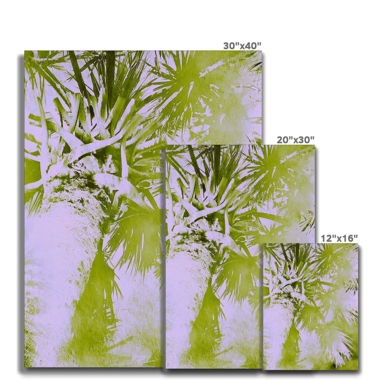 Palm Tree B2 Canvas