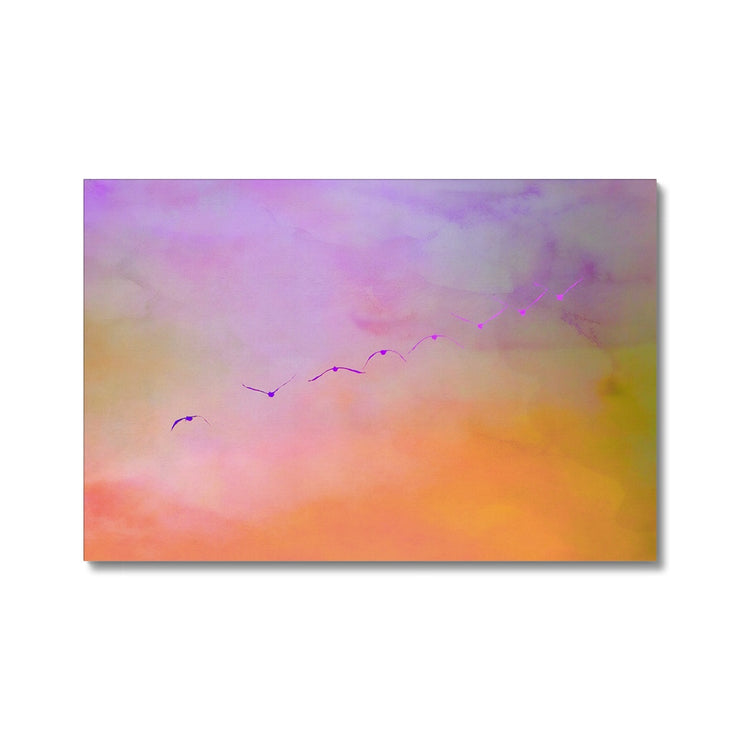 Pelicans in Flight A2 Canvas