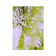 Palm Tree B2 Hahnemühle Photo Rag Print