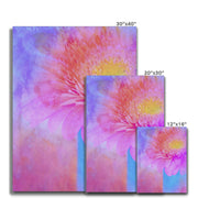 Gerbera B1 Canvas