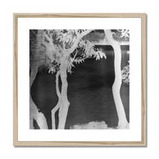 Price Lake B1 Framed & Mounted Print