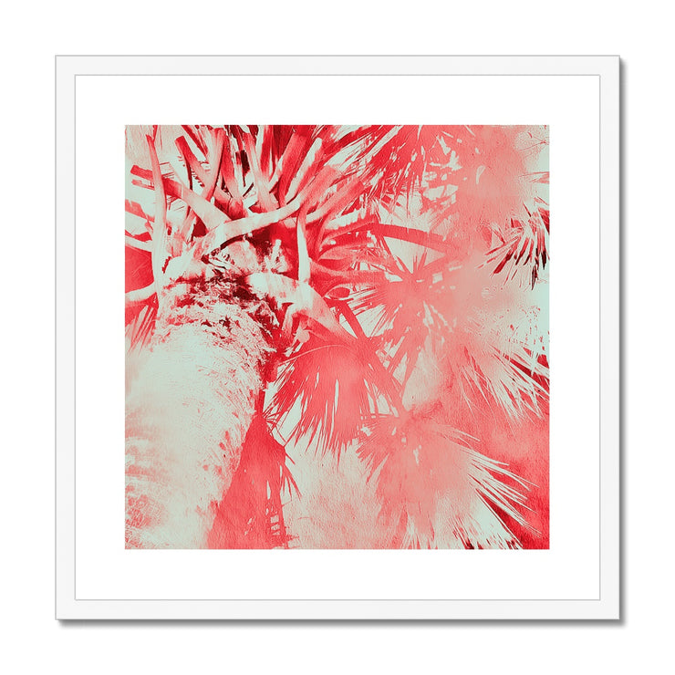 Palm Tree B6 Framed & Mounted Print