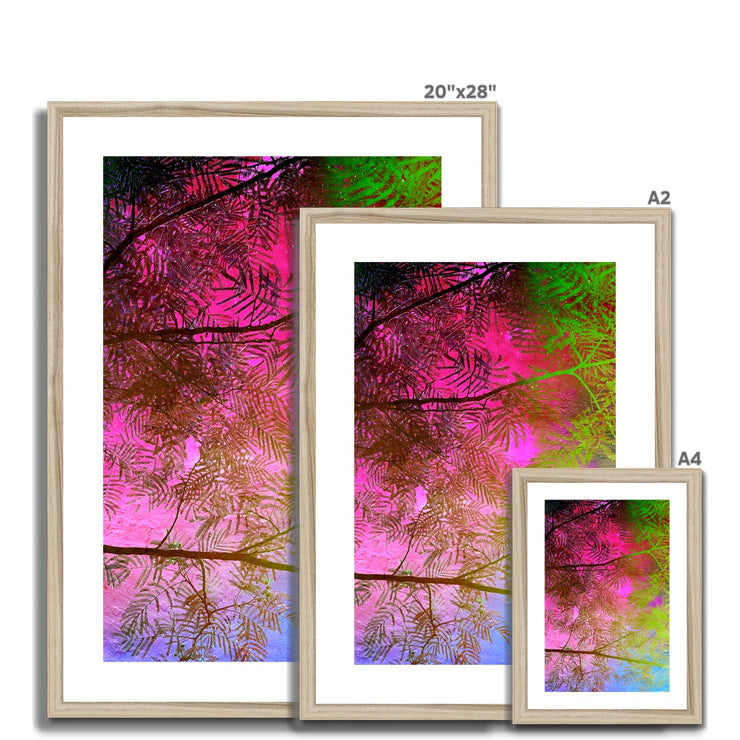 Albizia Tree A10 Framed & Mounted Print