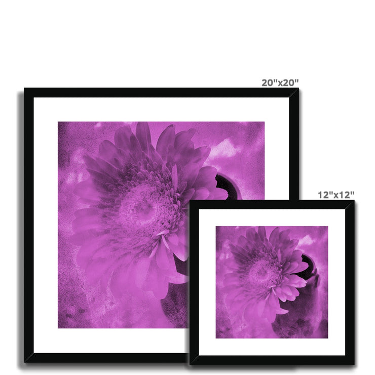 Gerbera A4 Framed & Mounted Print