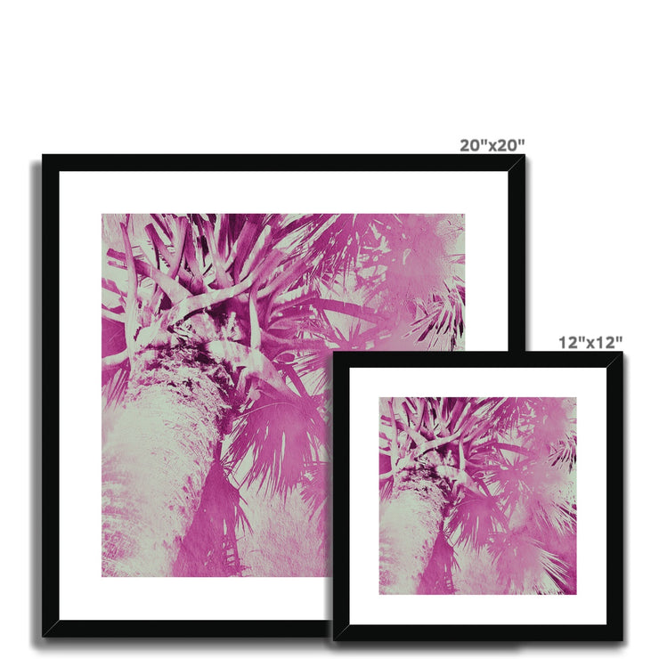 Palm Tree B5 Framed & Mounted Print