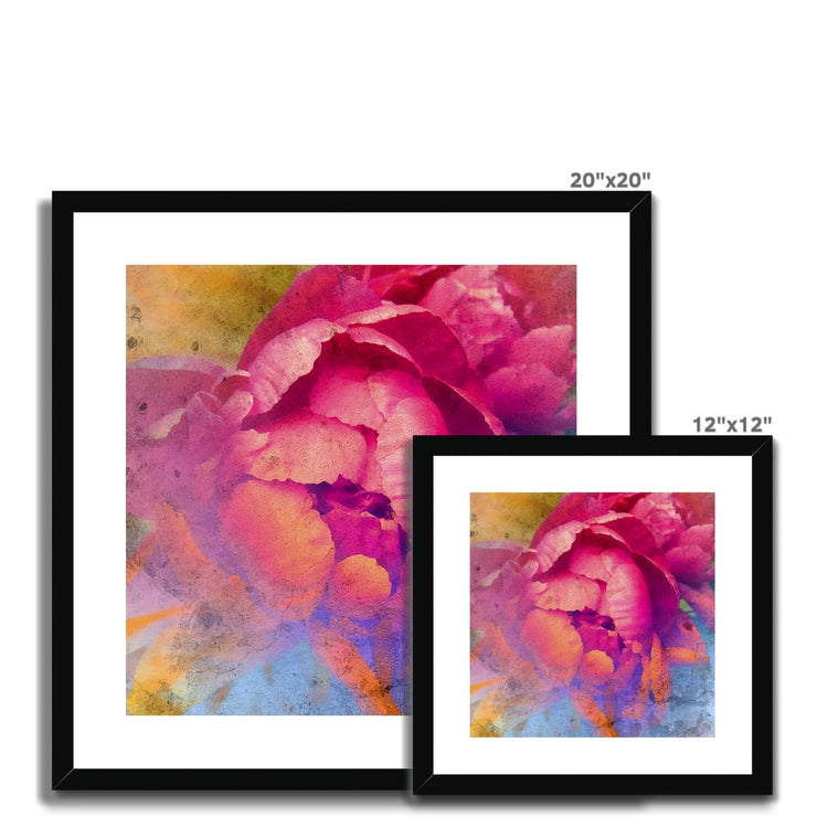 Peony E1 Framed & Mounted Print