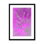 Lilac A2 Framed & Mounted Print