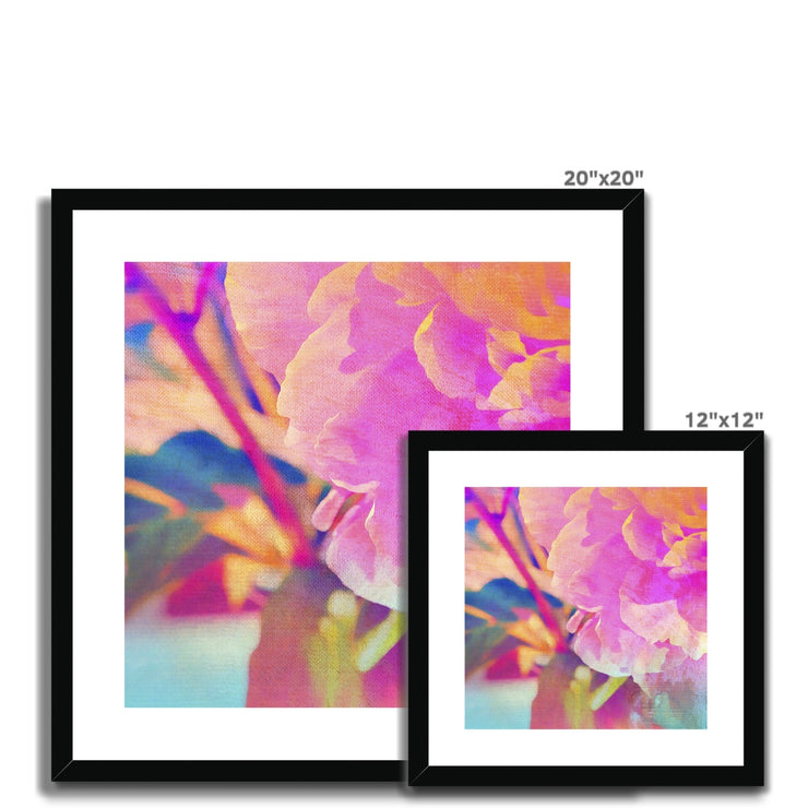 Peony A3 Framed & Mounted Print