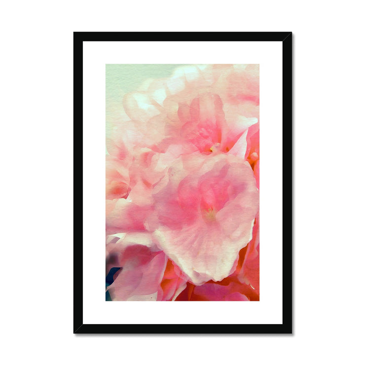 Hydrangea C1 Framed & Mounted Print