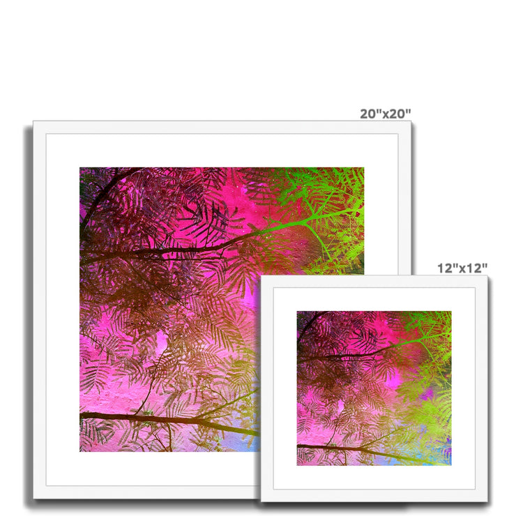 Albizia Tree A10 Framed & Mounted Print