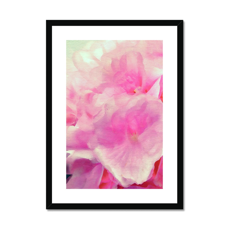 Hydrangea C2 Framed & Mounted Print