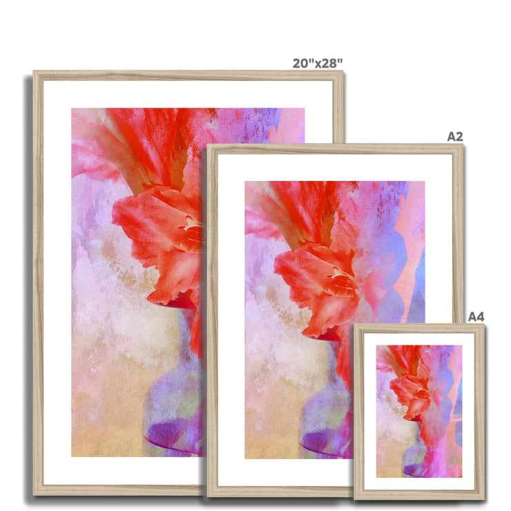 Gladiolas A2 Framed & Mounted Print