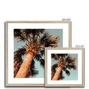 Palm Tree E1 Framed & Mounted Print