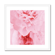 Peony G4 Framed & Mounted Print