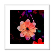 Garden Flower A1 Framed & Mounted Print