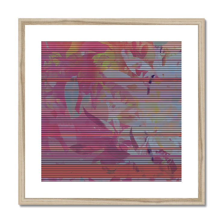 Leaves D2 Framed & Mounted Print