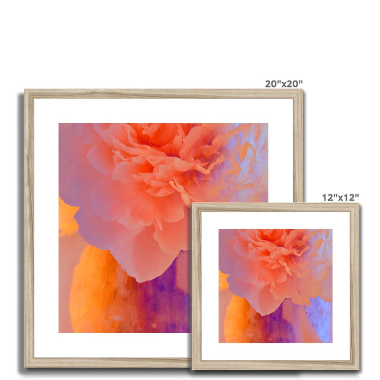 Peony G1 Framed & Mounted Print