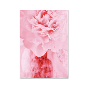 Peony G4 Hahnemühle Photo Rag Print