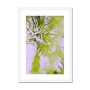 Palm Tree B2 Framed & Mounted Print